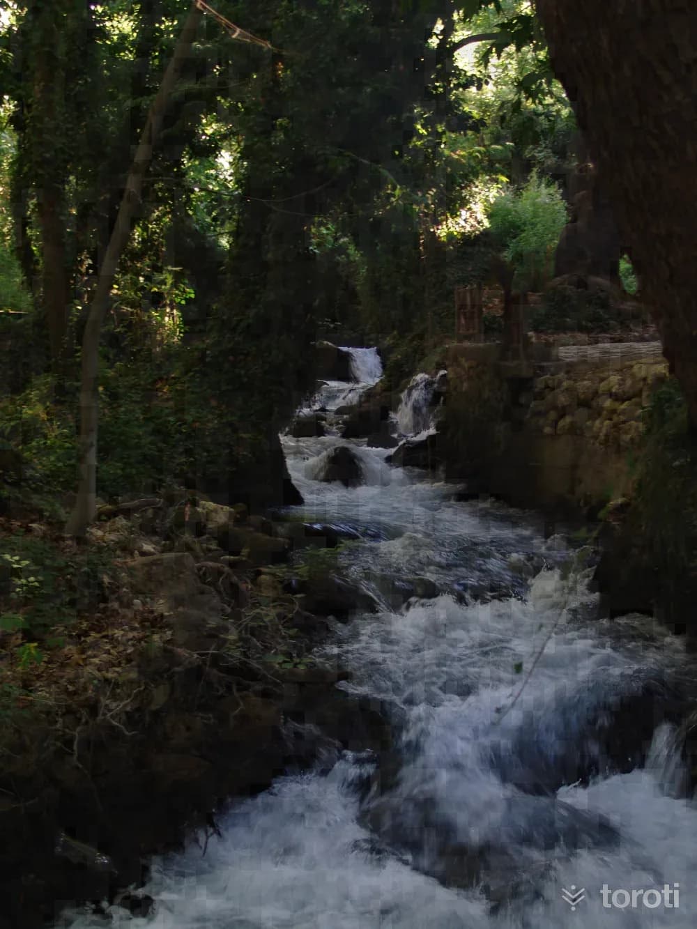 Zeyve Pazarı