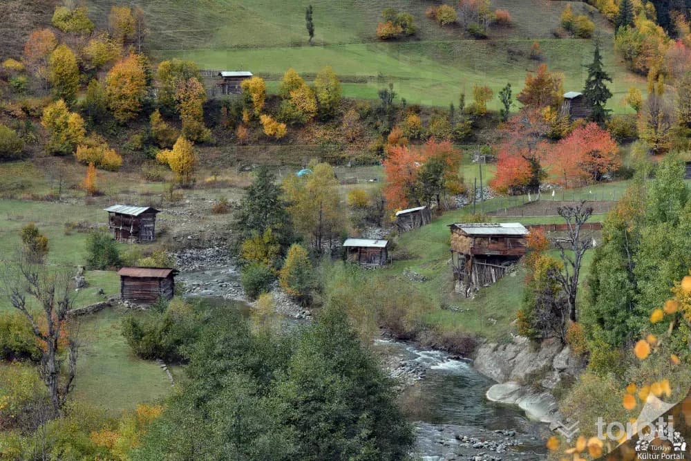 Papart Yaylaları