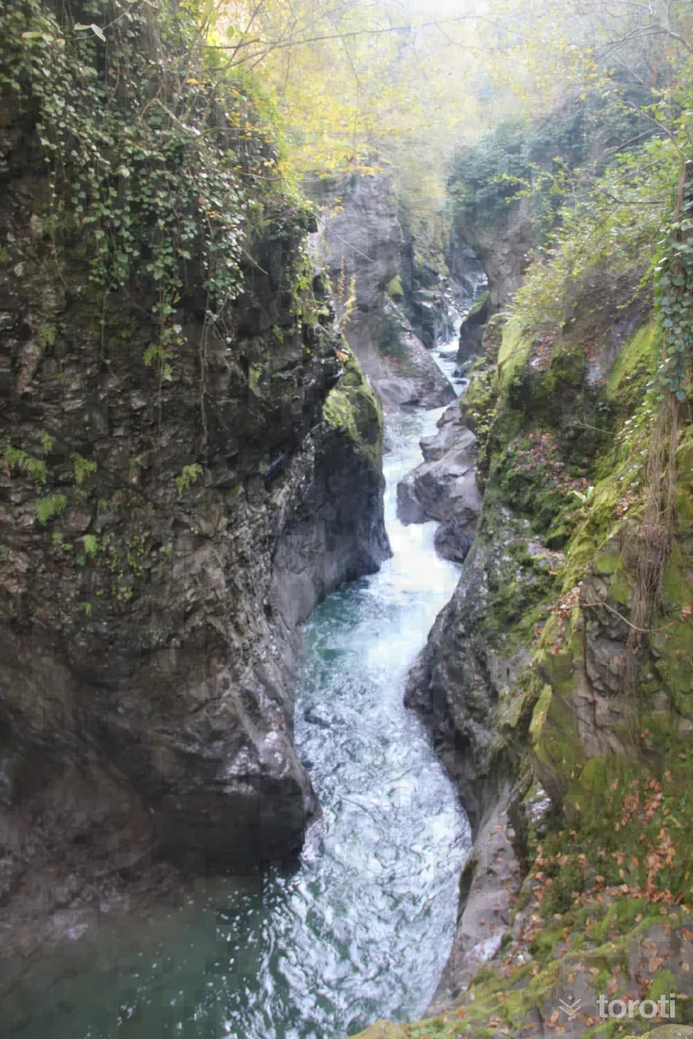 Çamaş Kanyonu