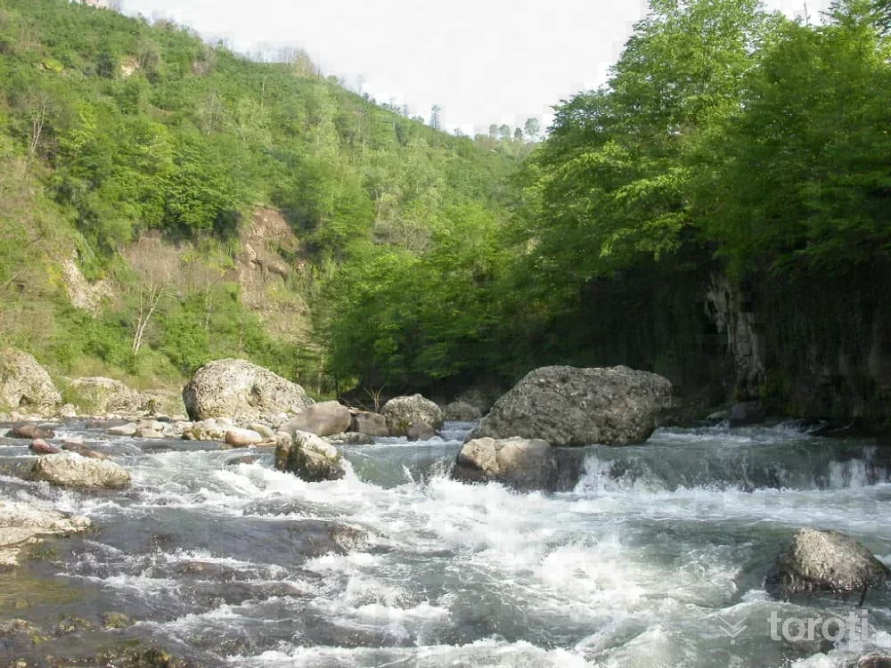 Turnasuyu Vadisi (yürüyüş Parkuru)
