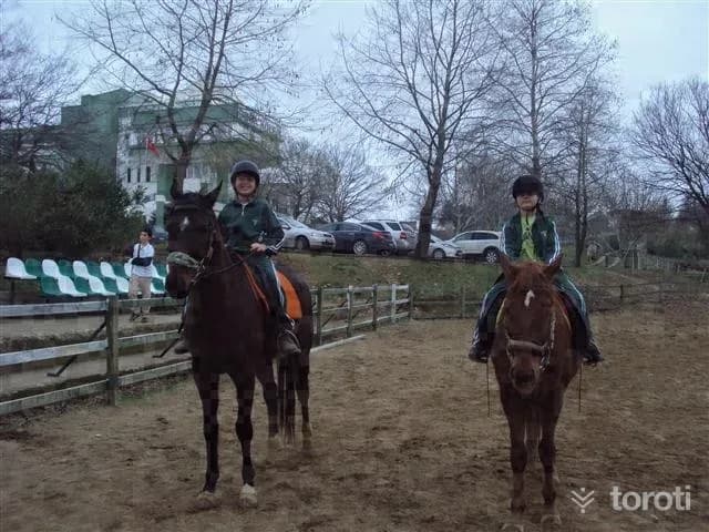 Akyazi Akbalik Yariş Alanı