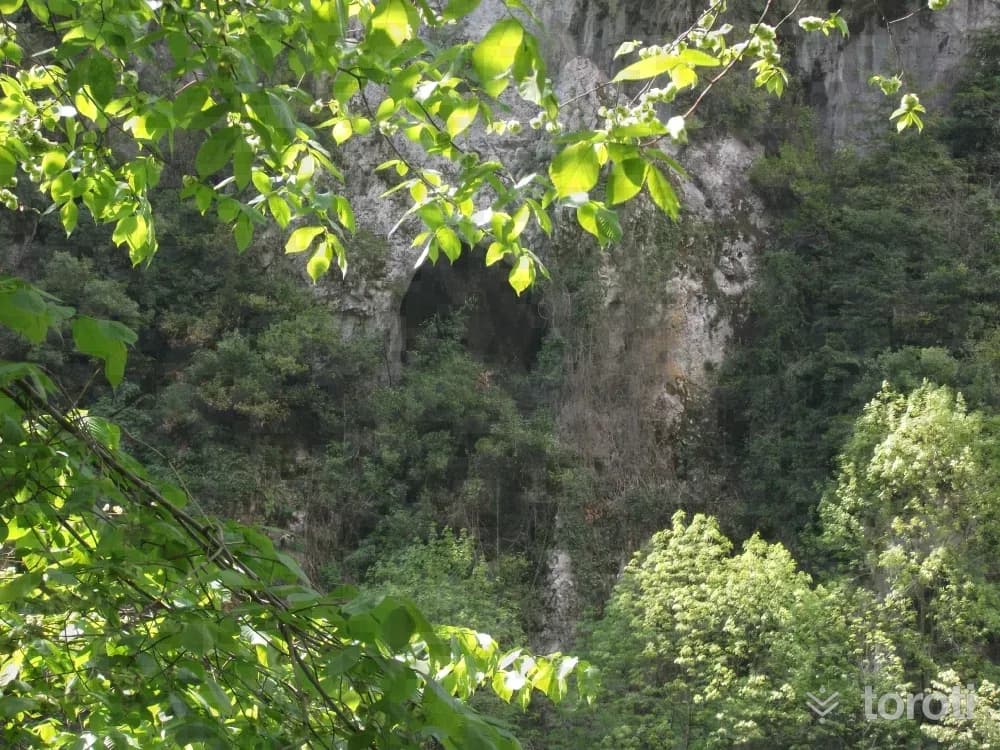 Maden Deresi Ve Şelalesi
