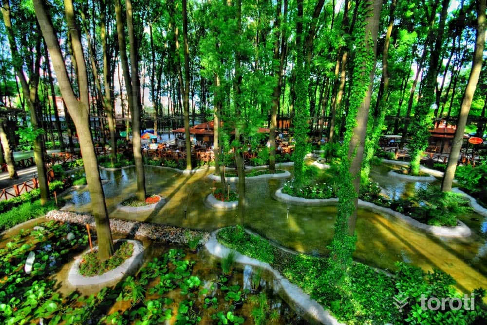 Ormanpark