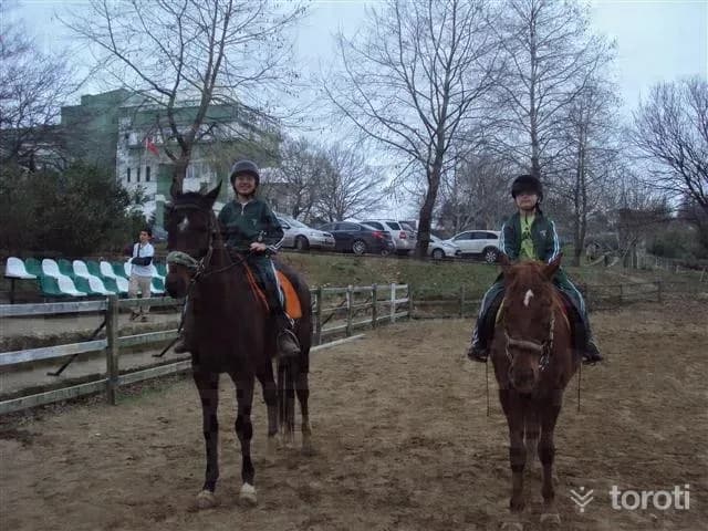 Pamukova Kirca Yaylası