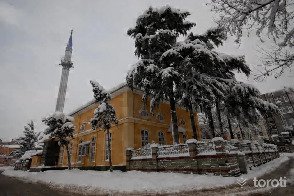Sakarya Orhan Camisi