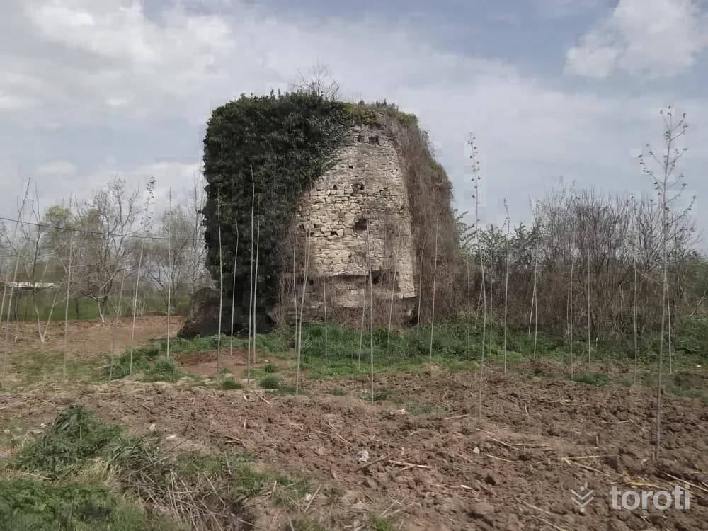 Seyifler Kalesi