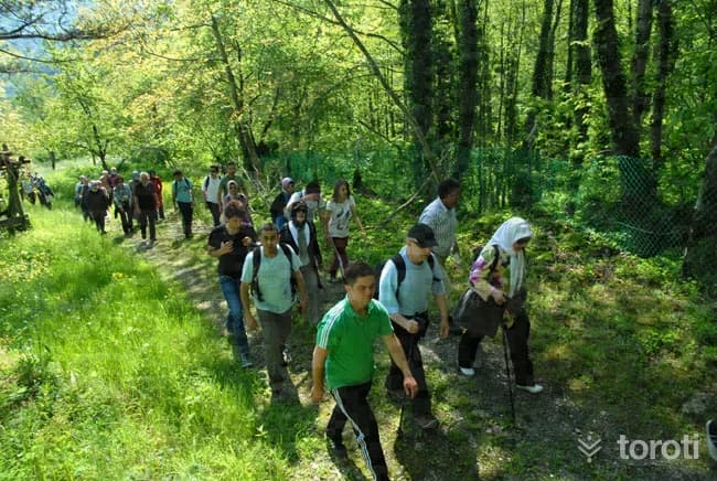 Soğucak Şelalesi