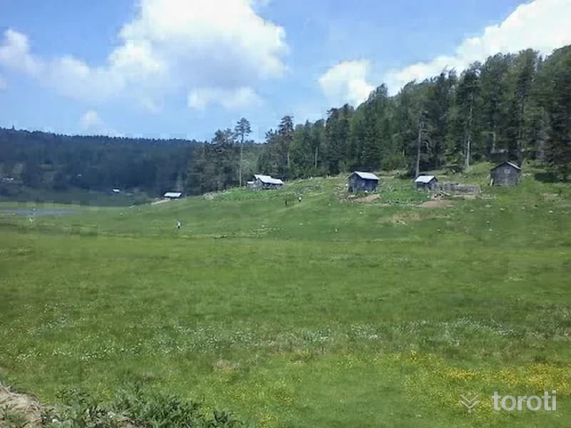 Turnali Yaylası