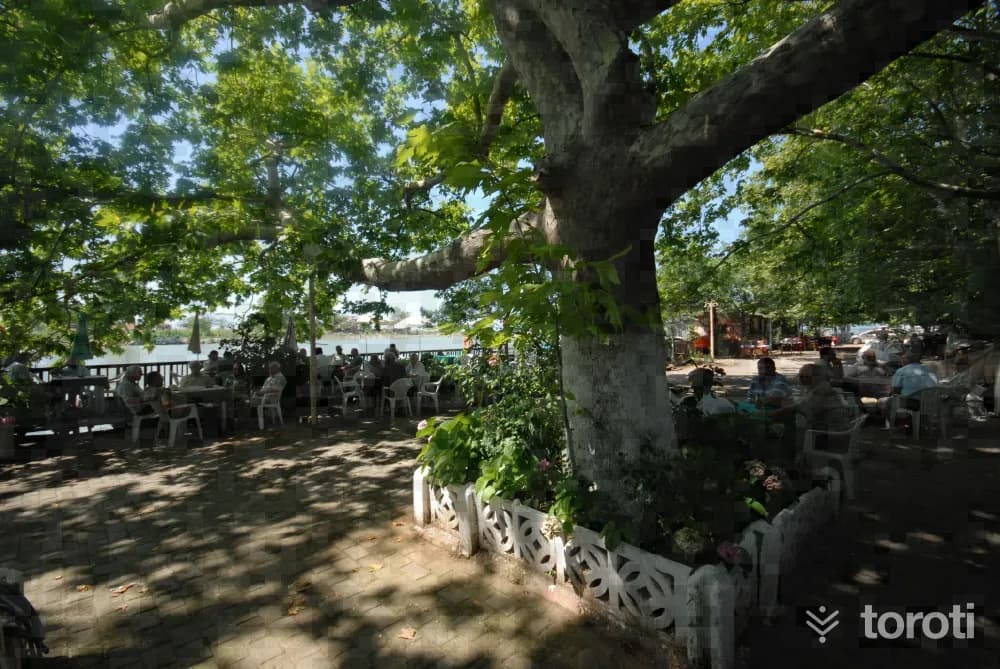 Yenimahalle (sakarya Nehri Ağzi)