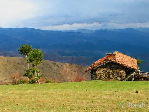 Buzluk Yaylası