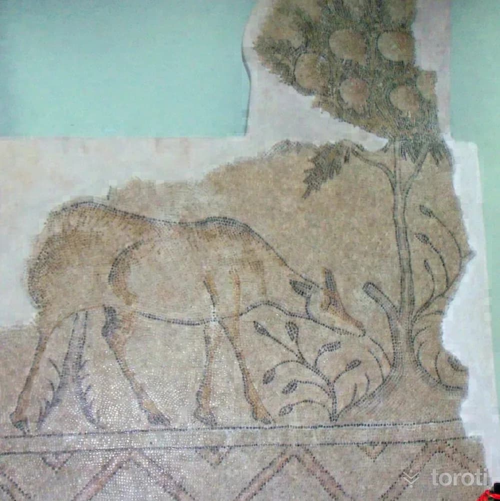 Malatya Arkeoloji Müzesi