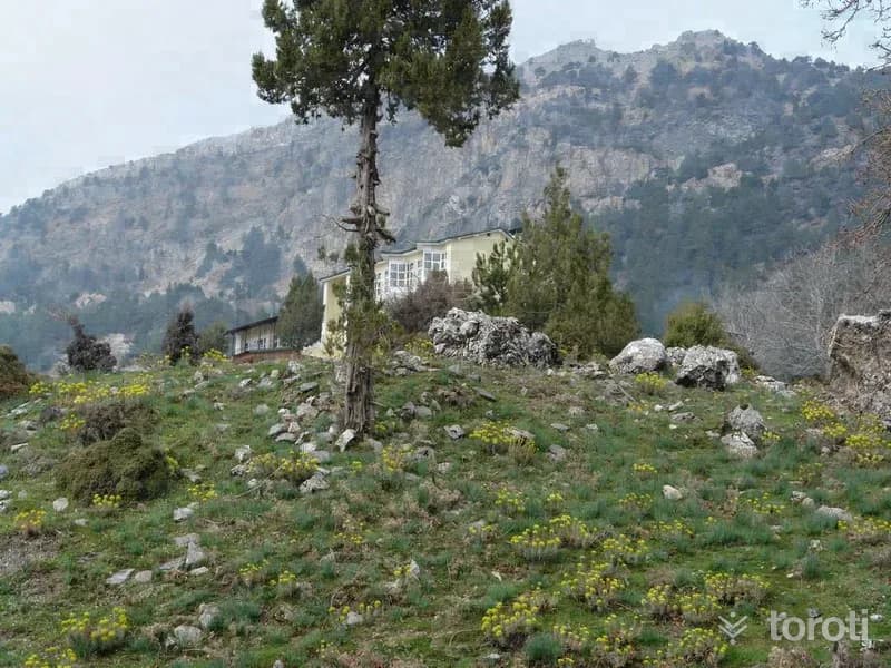 Kampçilik - Paşa Yaylası