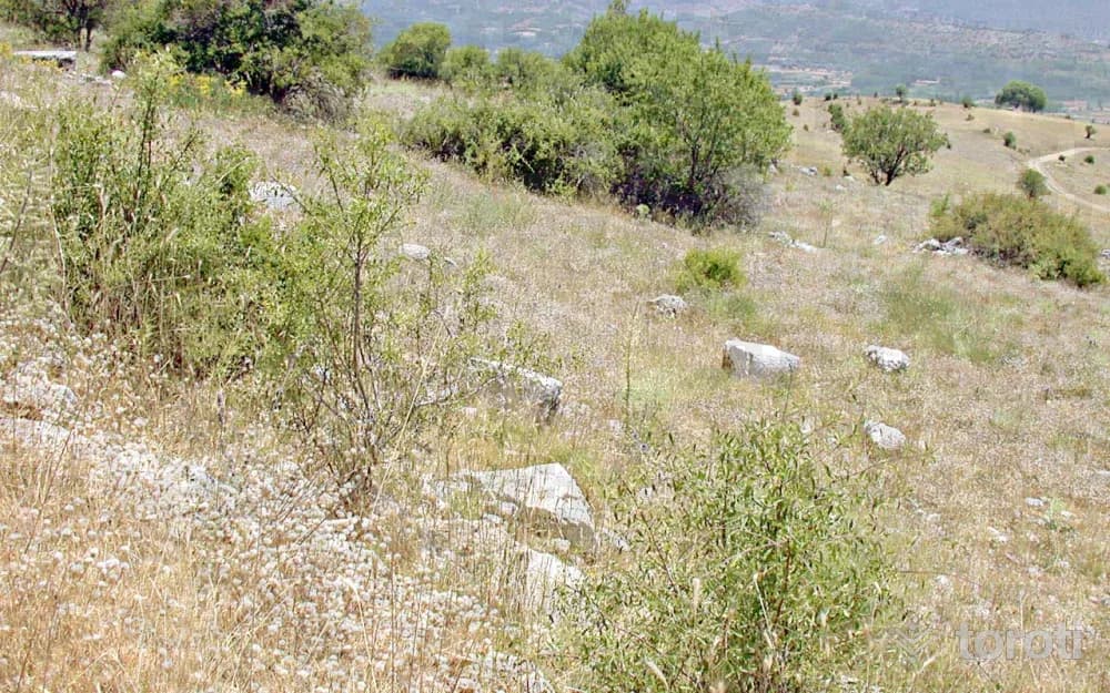 Timbriada Harabesi