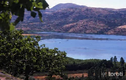 Kuş Gözlemciliği - Gölbaşi Gölü