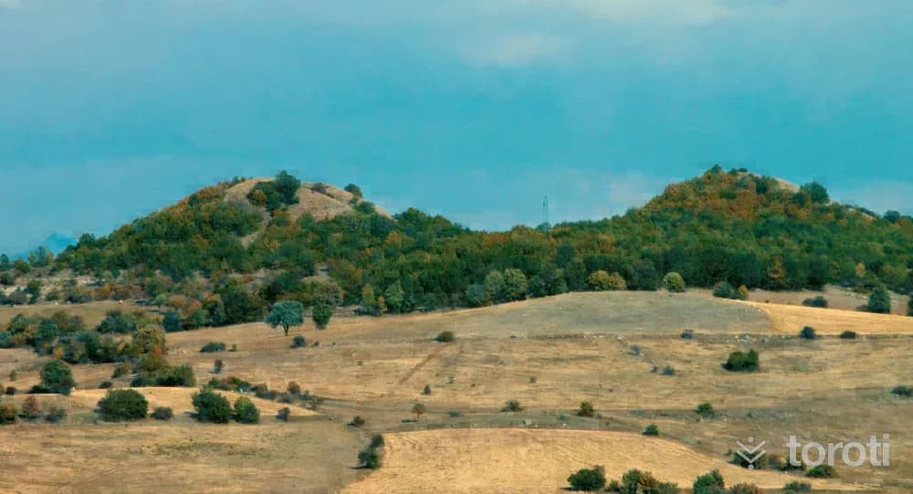 Alucra İkiztepe Tümülüsü