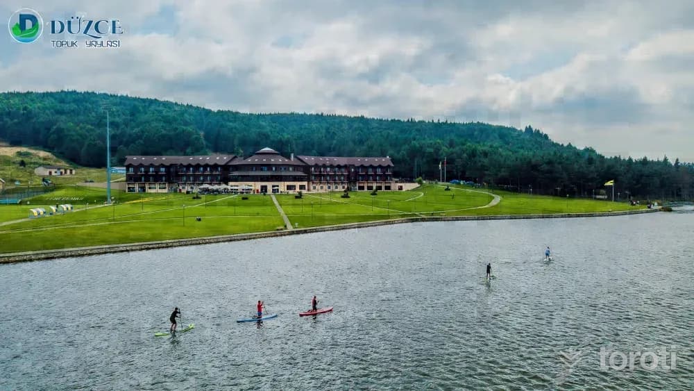 Paddle Board