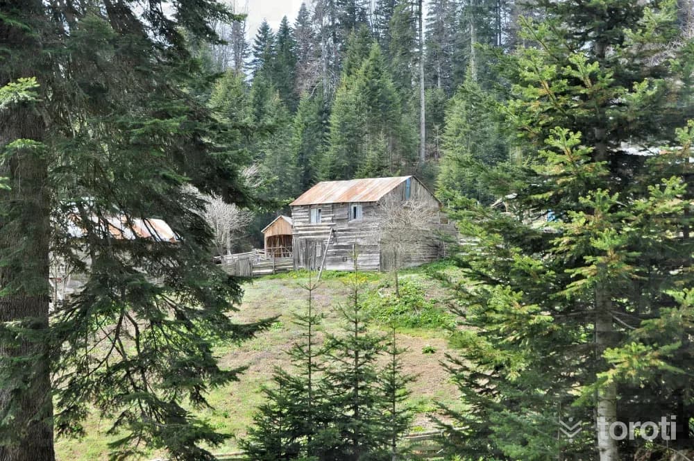 Sinekli Yaylası