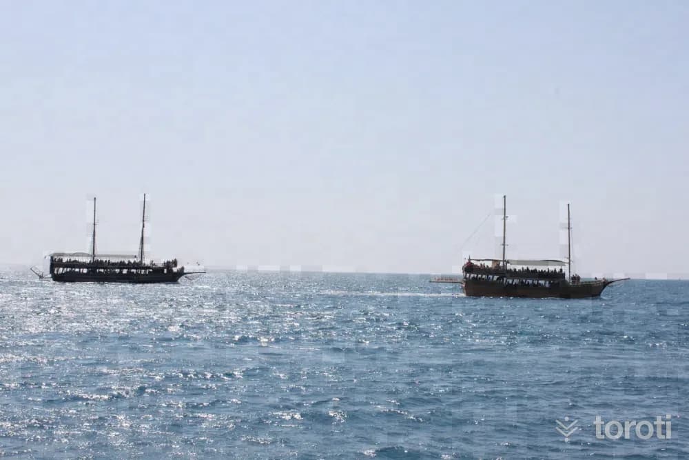 Tekne Turu