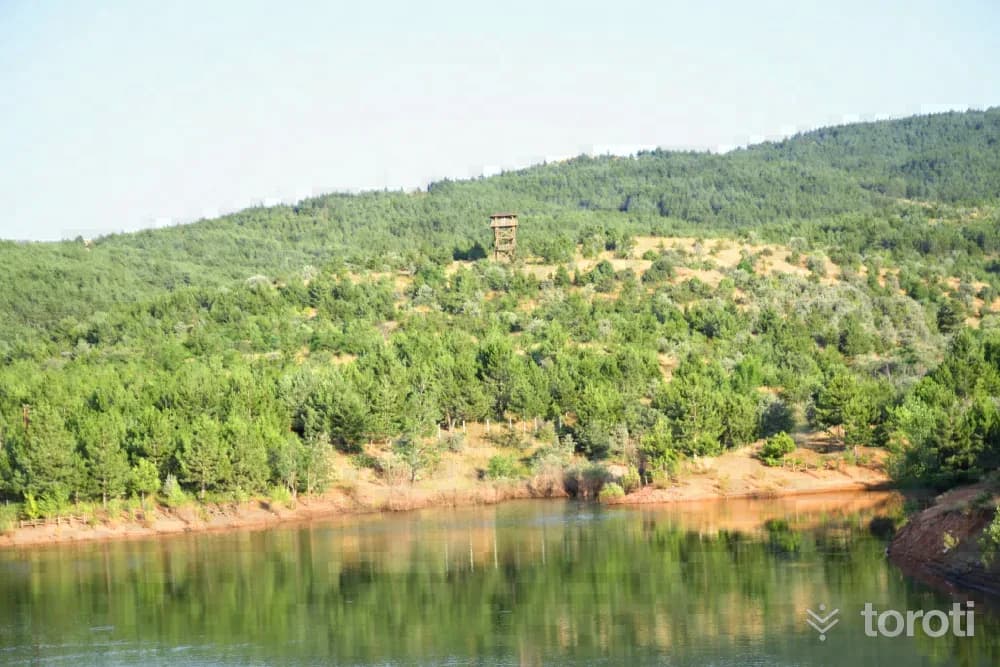 Çamlik Milli Parkı