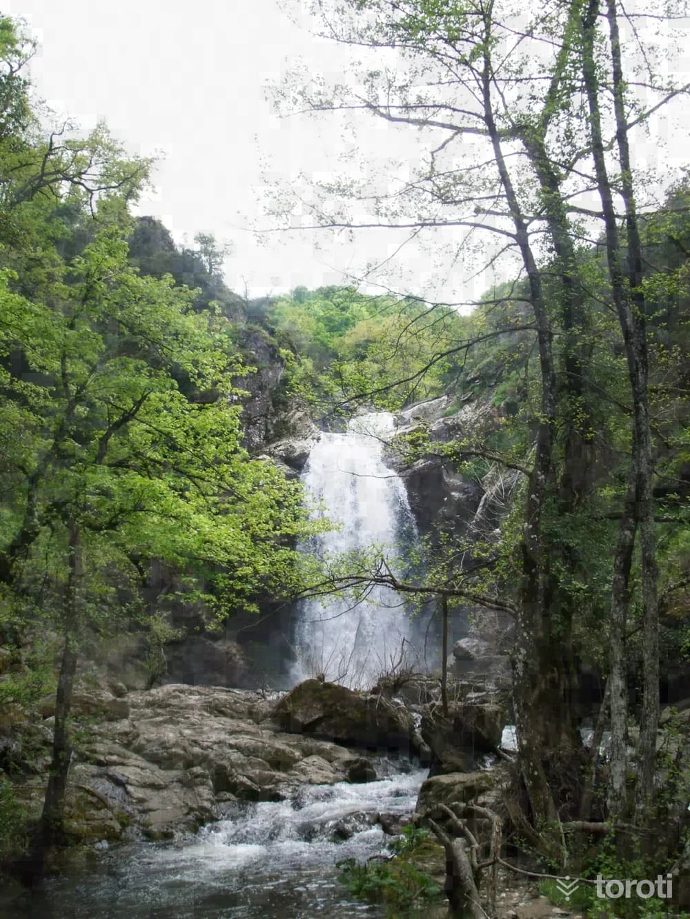 Kösehoroz Şelalesi