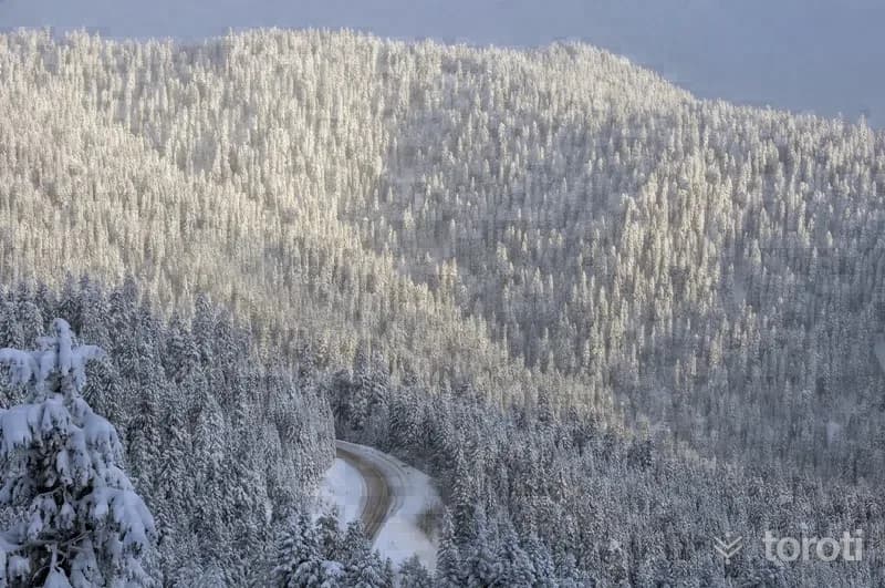 Ilgaz Kiş Sporları Turizm Merkezi