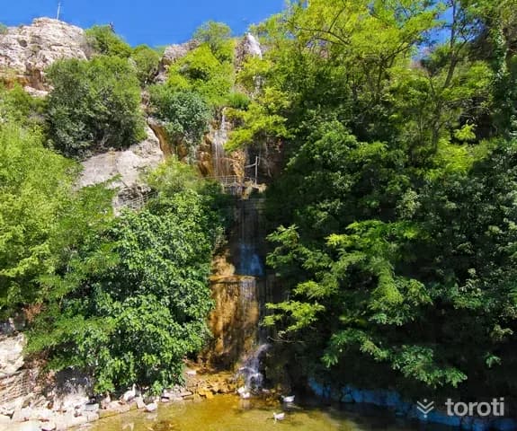 Suçikan Parkı