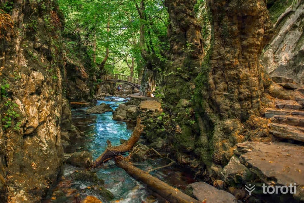 Kaz Dağı / İda Dağı