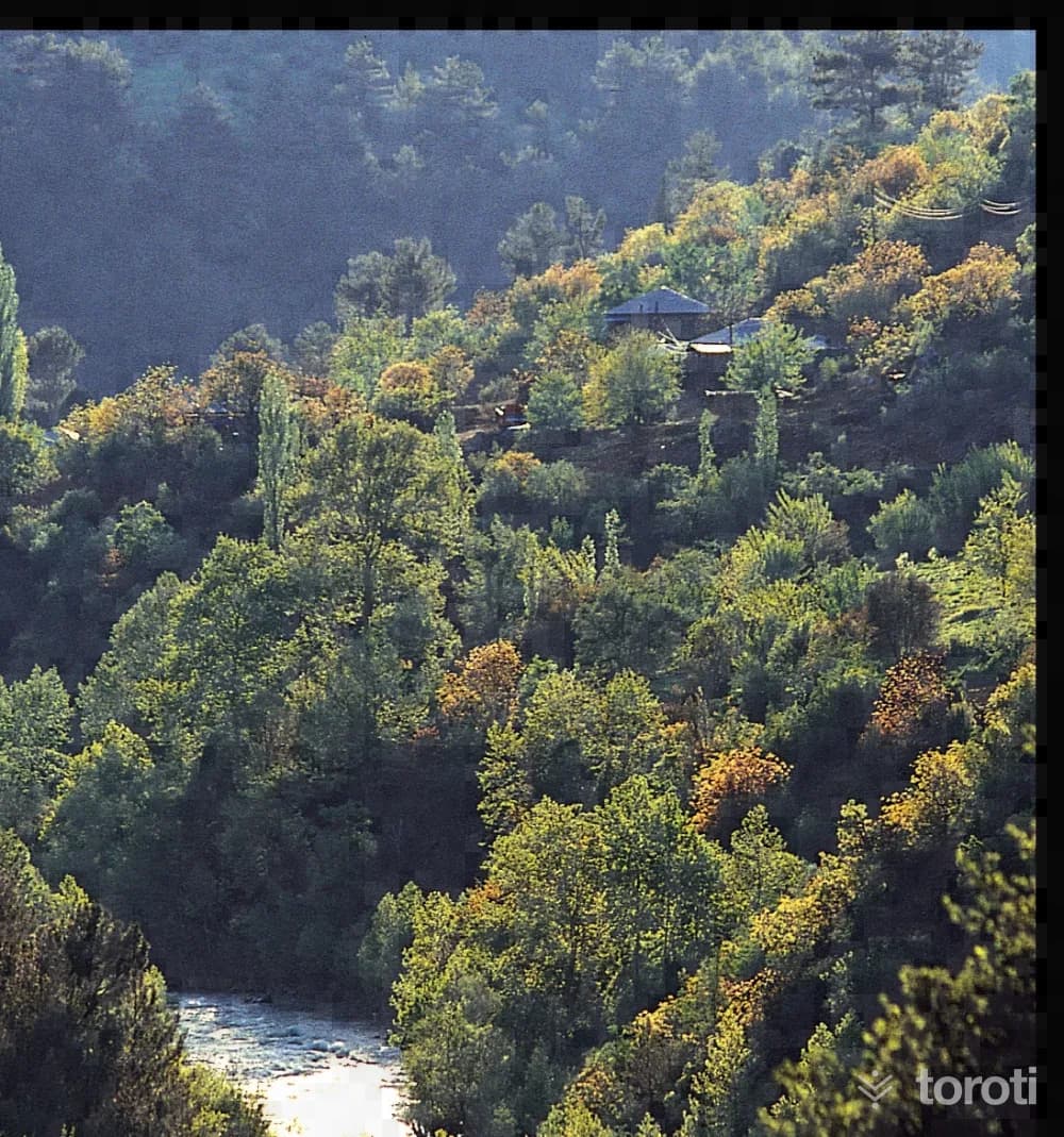 Feke-göksu Nehri