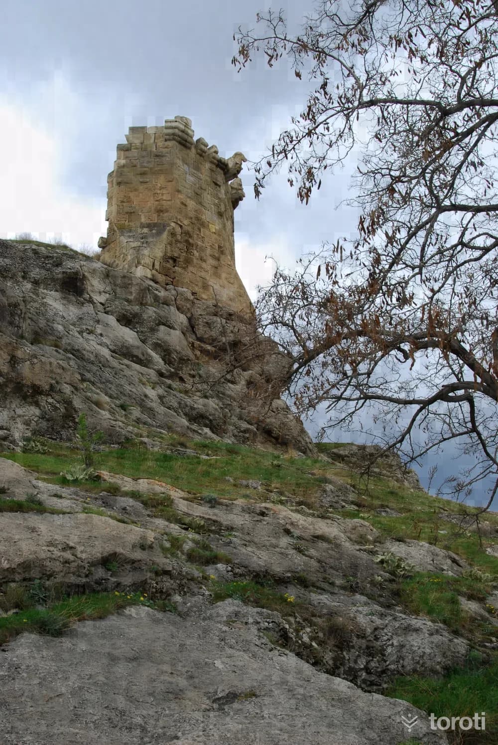 Divriği Kalesi
