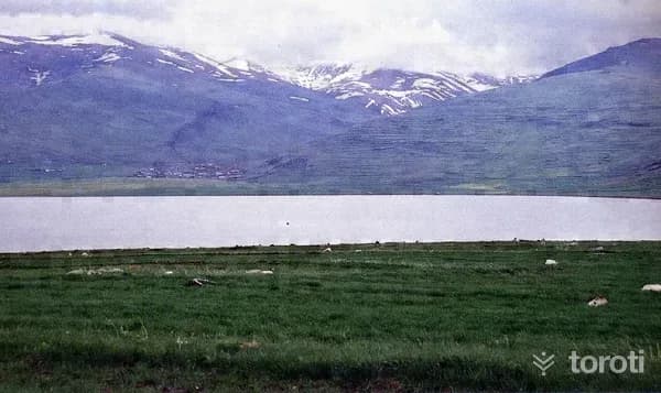 Sportif Olta Balikçiliği - Çildir Gölü