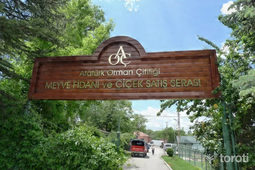 Atatürk Orman Çiftliği Müze Ve Sergi Salonu