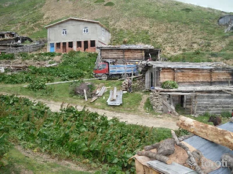 Berta Yaylaları