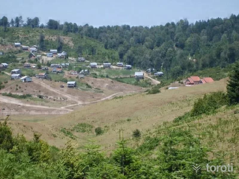 Sultanpinar Yaylası